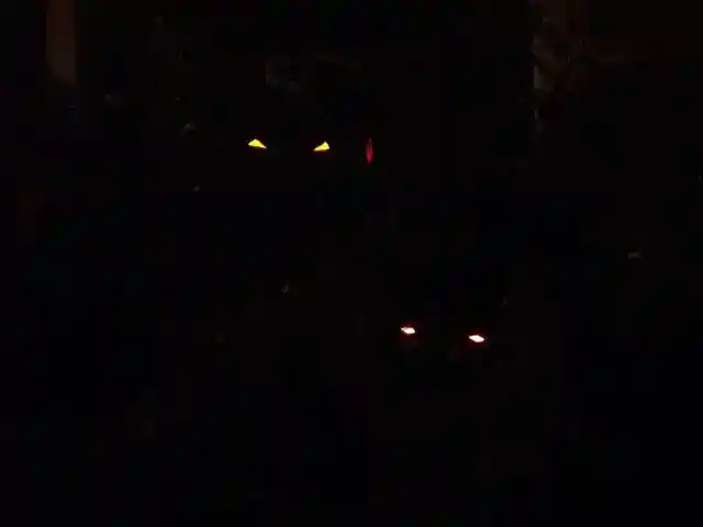 闇の中の眼
