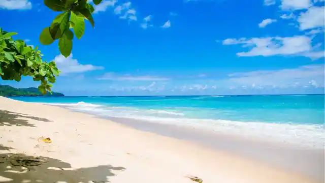 A Much Needed Break