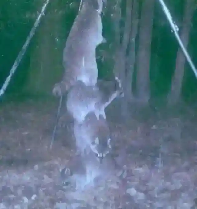 Better Teamwork Than Uni