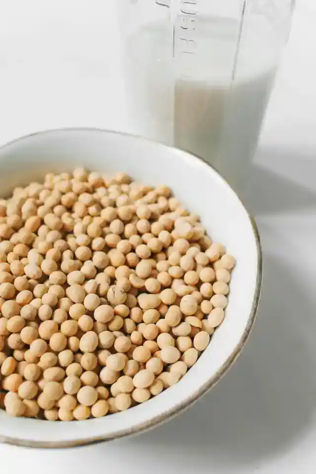 大豆