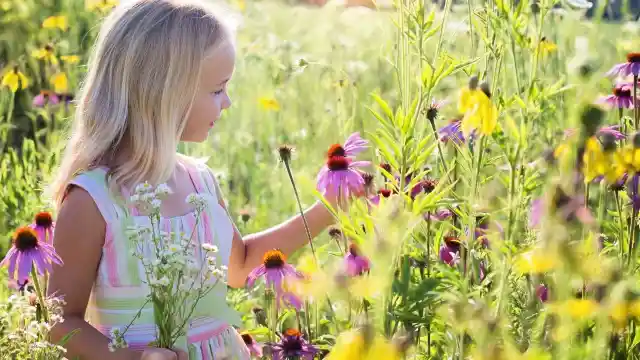 A Recuperação De Sara