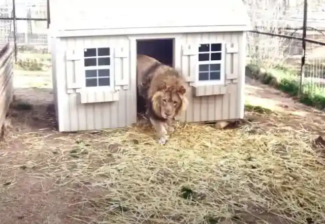 One of the City’s Attractions