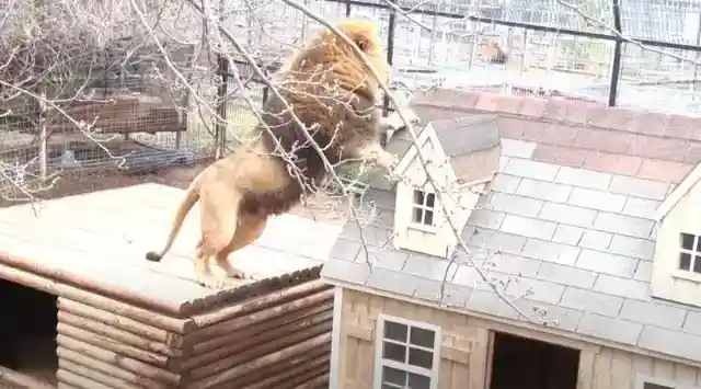 The Plan was Carried Out