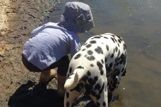 An Astounding Breed
