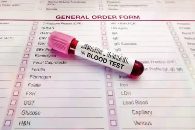 The Blood Work