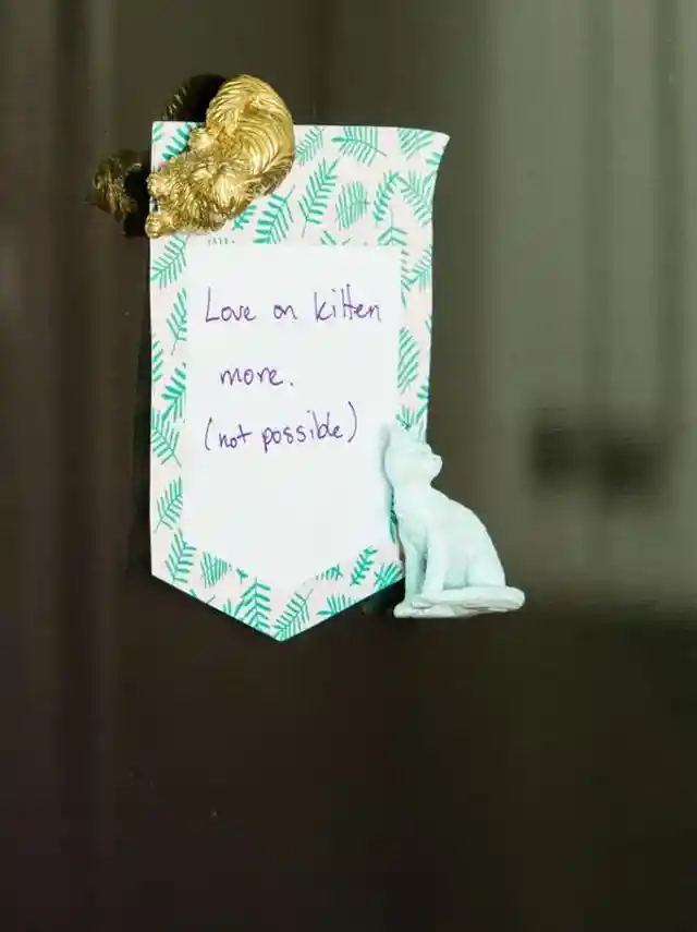 Purr-fect Fridge Pals