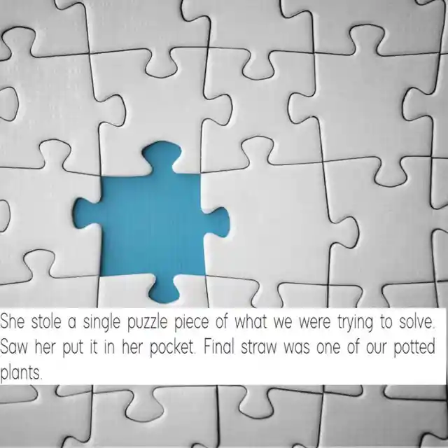 Missing Puzzle Piece