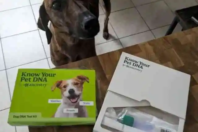 理由を突き止める必要があった