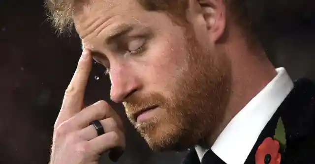 “Terrible Fights”