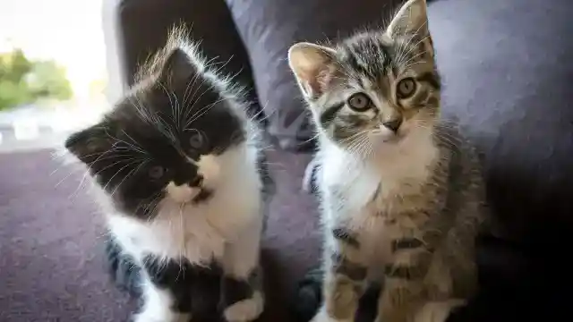 良いルーティン