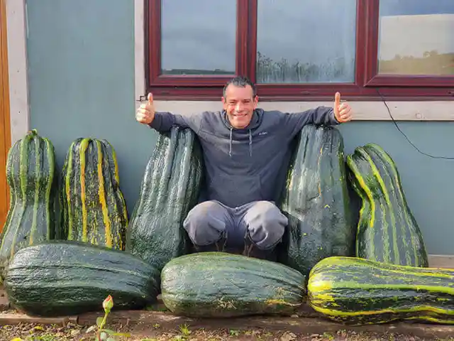 The Monstrous Zucchinis