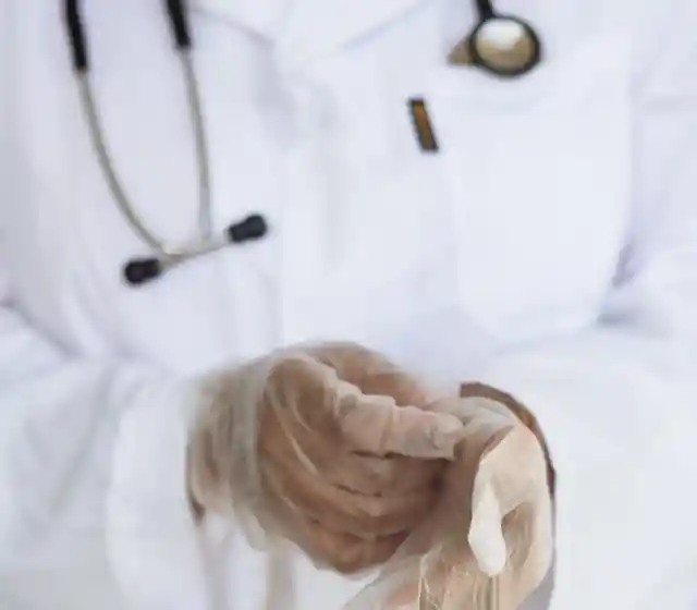 The Vet