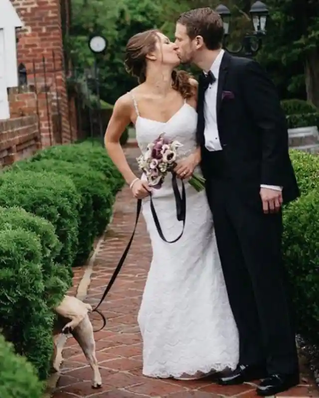 Hilarious Wedding Fails and Funnies