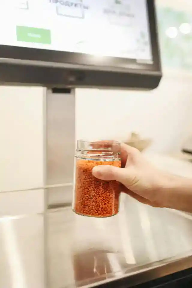 렌틸콩
