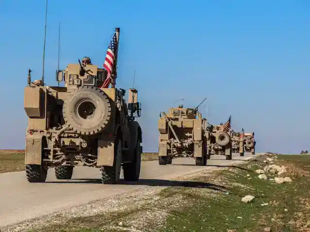 If You Can’t Do, Cook