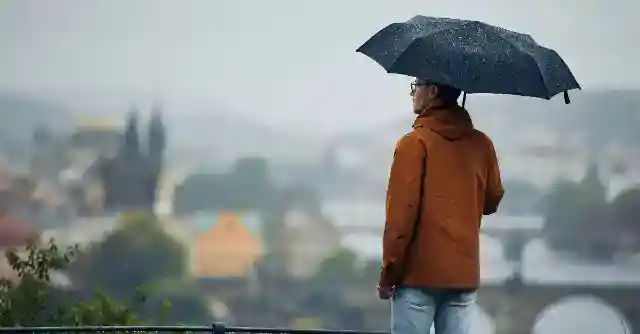 Dinner That Sparked a Dream