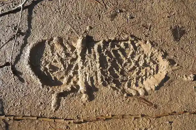 Mystery Marks