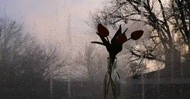 はっきりしたこと