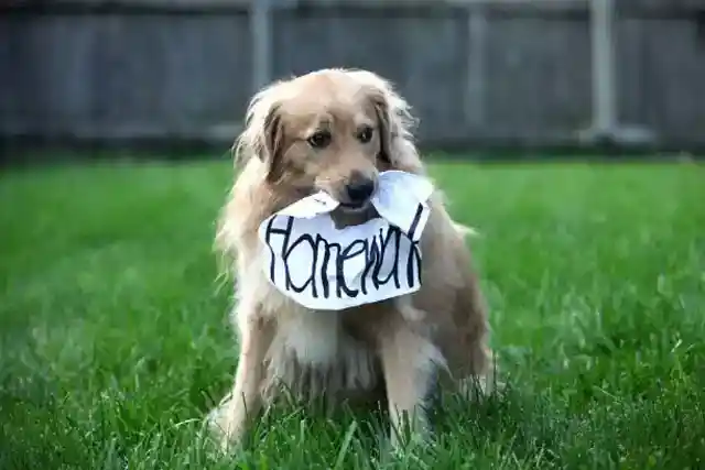 Lawsuit For Not Paying