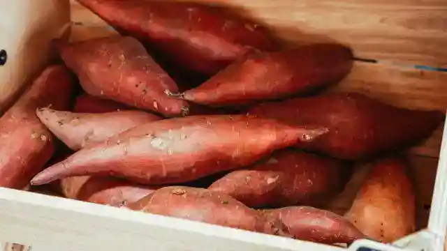 고구마