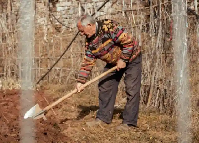 Man Who Covered Yard In Holes Gets Last Laugh