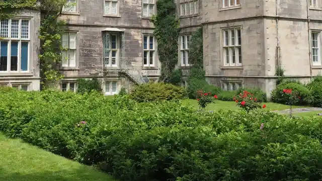 An Expensive House
