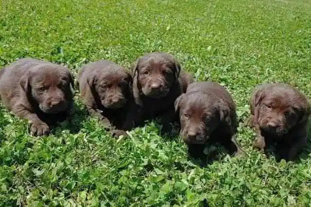 왜 그들은 자라지 않았을까?