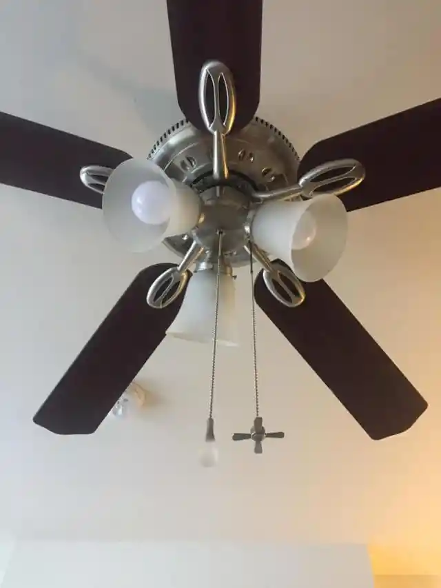 Ceiling Fans That Bring Warmth