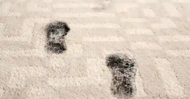 The Signs Were Everywhere