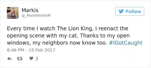 The Lion King And Its Neighbors