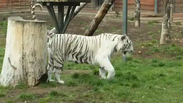 すべてが始まった場所へ