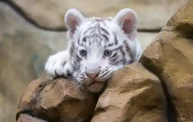 ゼロから築き直した絆