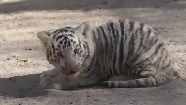 すべてを変えた子ども