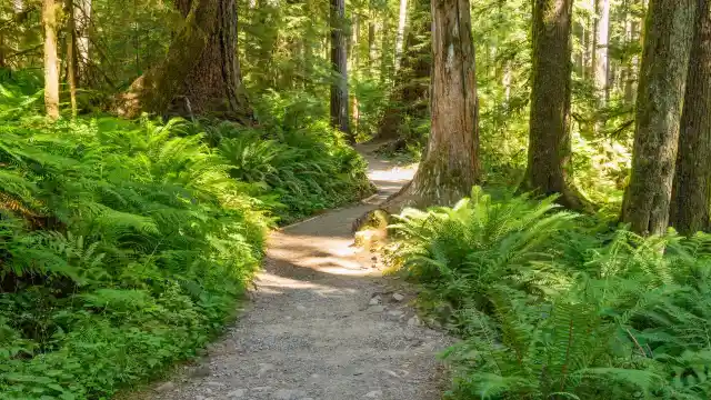 A Day Like Any Other