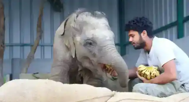 普通とは違う何か