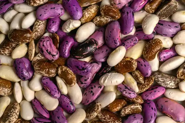 Beans