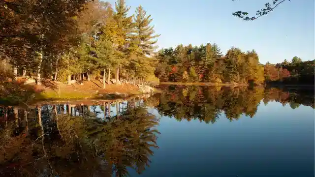 Looking For “The Spear”