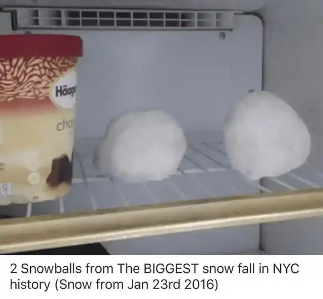 Do You Want To Buy A Snowball?