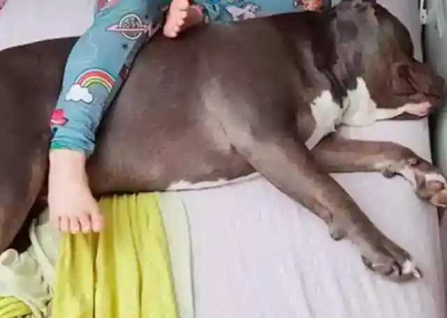 夜のルーティン