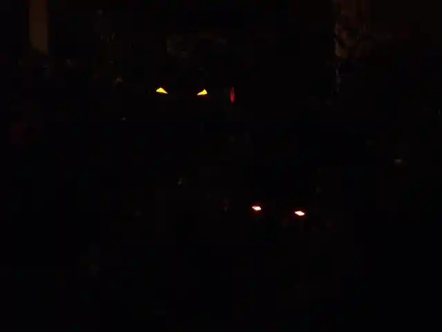 Eyes Within The Darkness