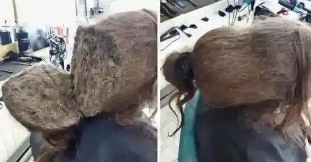 混沌とした絡み合い