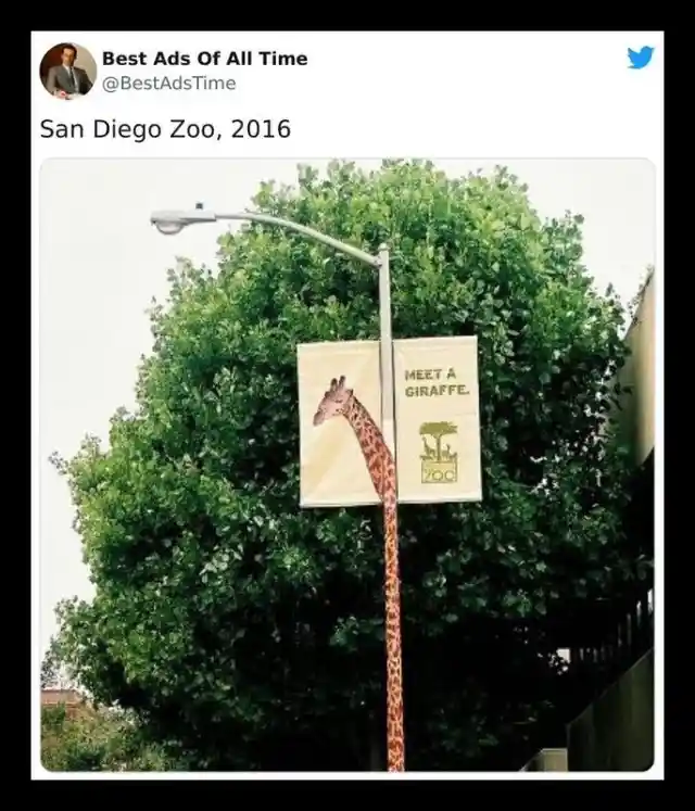 The San Diego Zoo (Not changed)