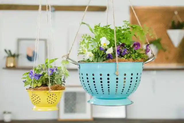 Colanders as Cute Hanging Planters