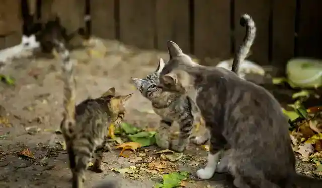 終わり良ければ全て良し