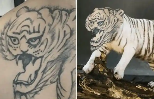 The Tiger That Wasn’t Terrifying