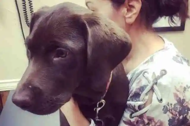 롤라는 당장 그들의 지원이 필요했습니다