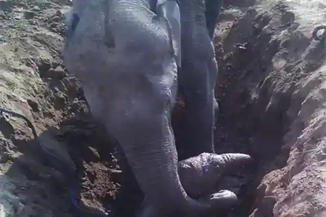 엄마에게 중요한 일을 맡기다