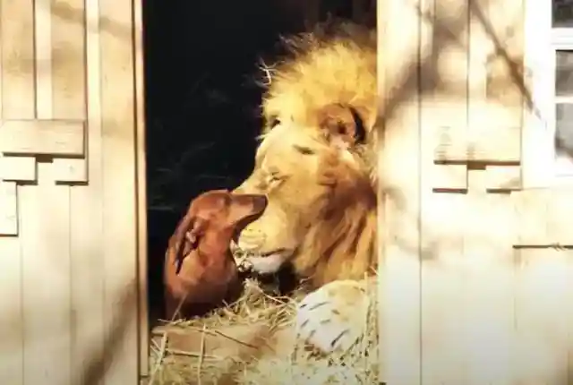 Truly Special Friendship