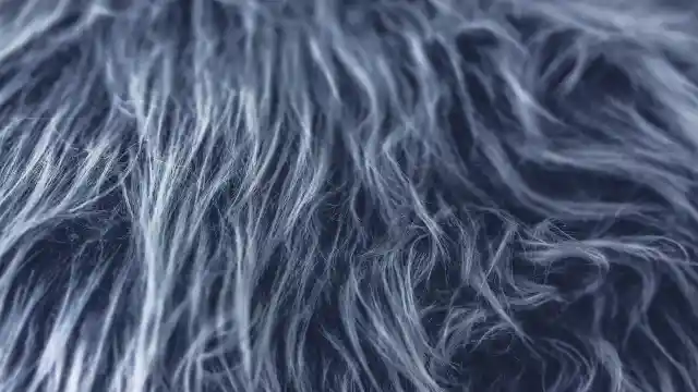 Springing Into Action