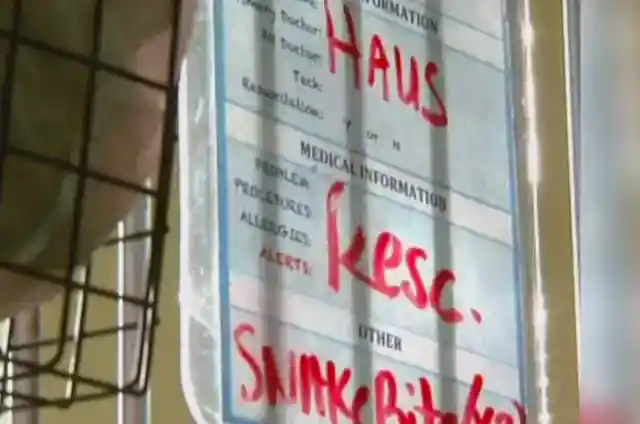 He Didn’t Back Down